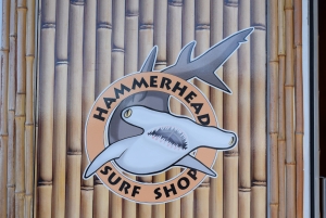 hammerhead surf shop logo