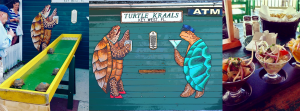 Turtle Kraals Collage