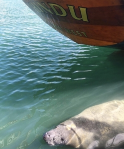 Hindu Charters Boat