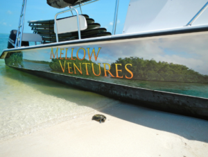 Mellow Ventures Boat