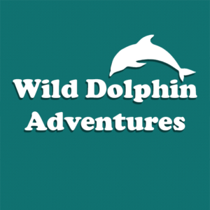 Wild Dolphin Adventures Logo
