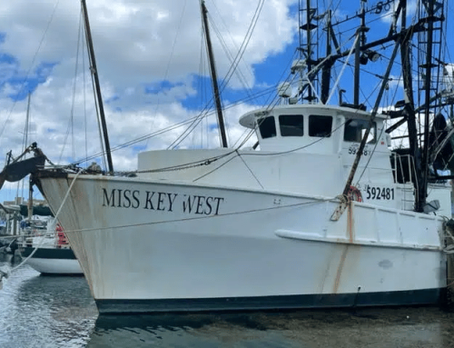 Southeastern Shrimp and Seafood (Miss Key West)