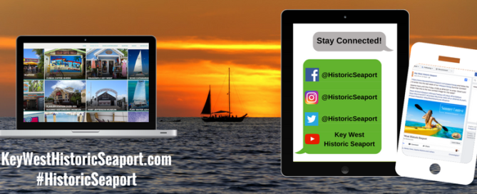 Social Media Blog Header Image