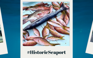 June Blog Header Image