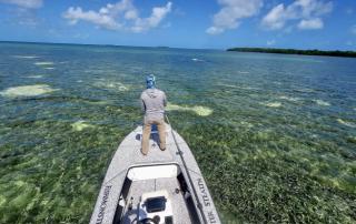 FishMonster Stealth from FishMonster Key West