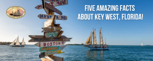 five amazing facts about key west florida cover image