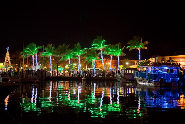 lit palm trees kwhs harborwalk of lights